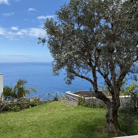 Cozy Sea View House Faja Da Ovelha Villa Calheta  Ngoại thất bức ảnh