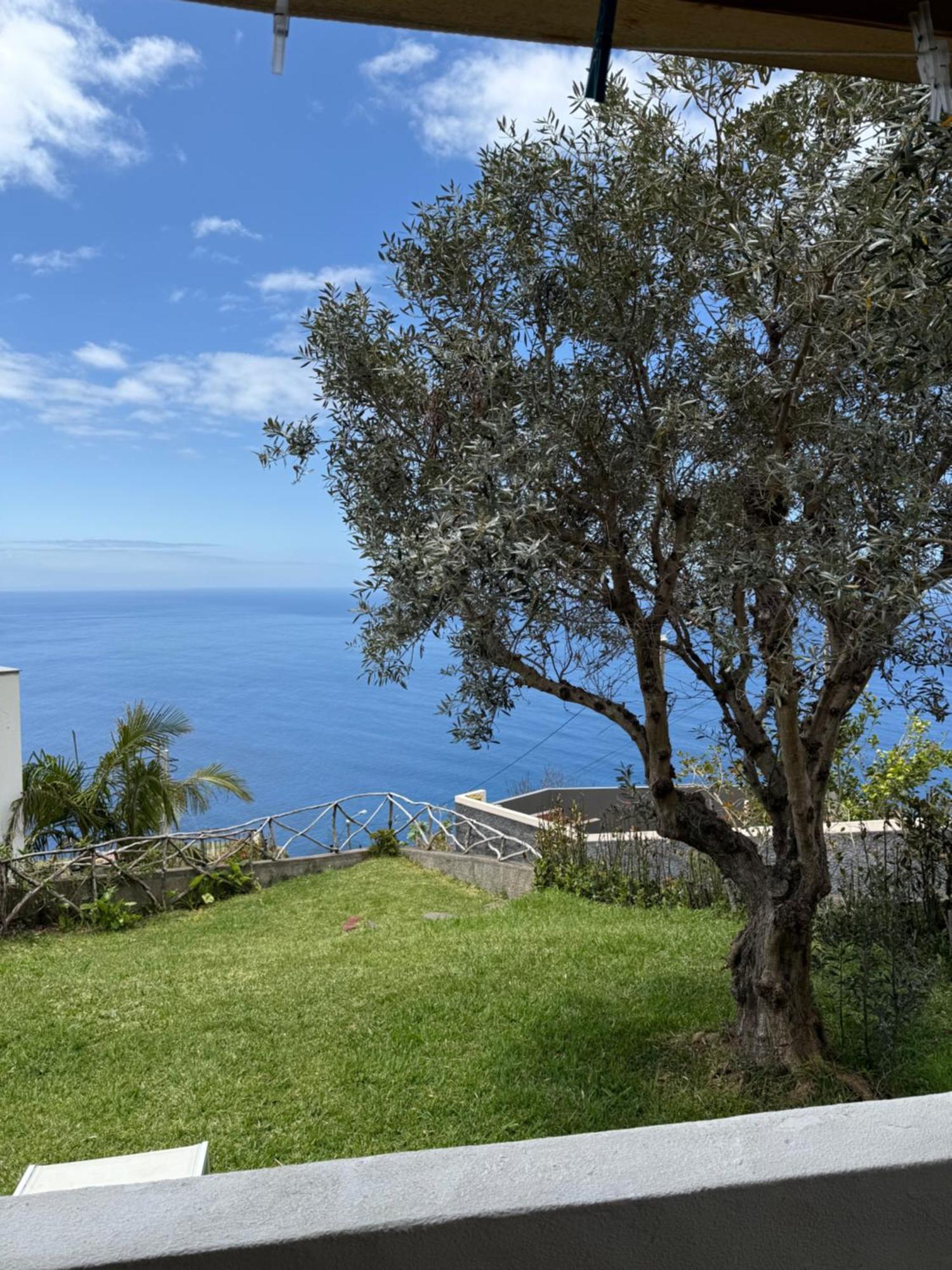 Cozy Sea View House Faja Da Ovelha Villa Calheta  Ngoại thất bức ảnh